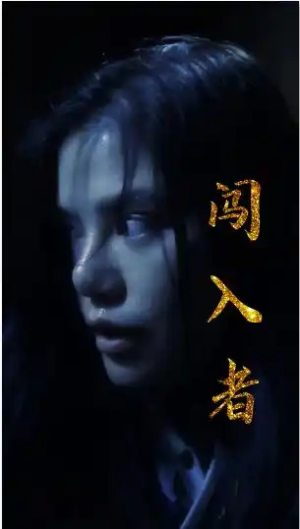 闯入者（51集）精彩好看短剧