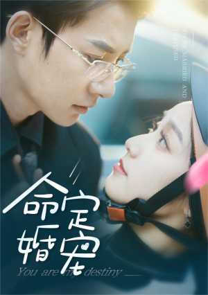 命定婚宠（61集）短剧小说在线看