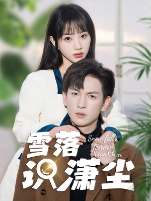 雪落识潇尘（80集）在线观看全集