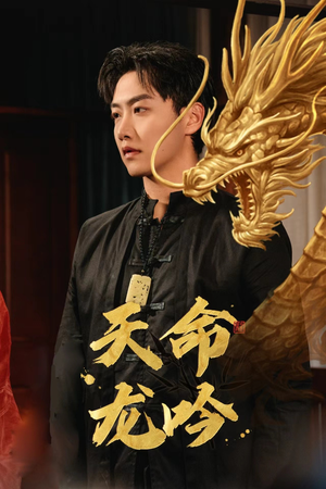 天命龙吟（48集）短剧太精彩了