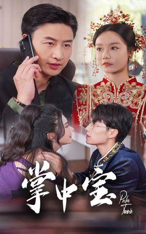 掌中宝（31集）最热短剧抢先看