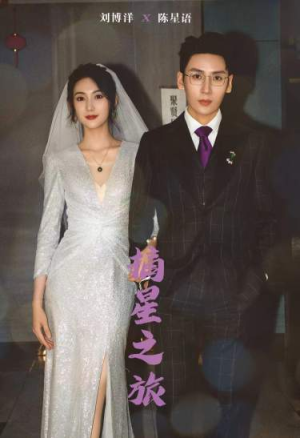 摘星之旅（88集）火爆短剧抢先看