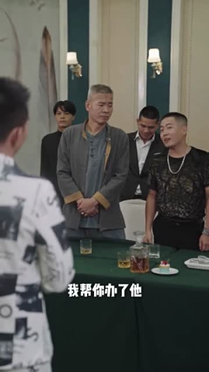 龙城飞将（85集）短剧免费看