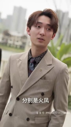 隐龙保安（106集）我全都看完了