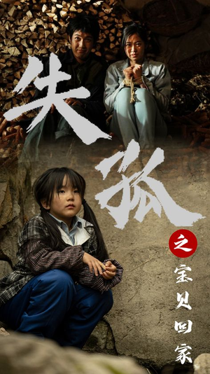 失孤之宝贝回家（71集）热门短剧抢先看