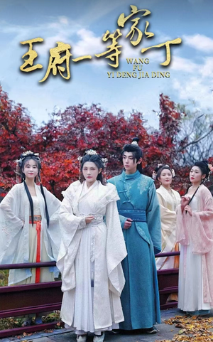 王府一等家丁（93集）一口气看完全集