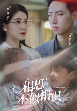 相思不似相识（101集）热门爆款短剧
