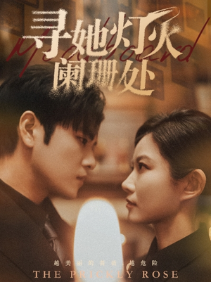 寻她灯火阑珊处（61集）看过的人都说好