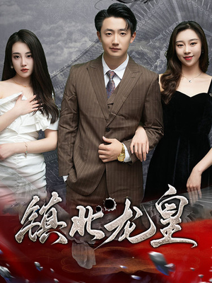 镇北龙皇（97集）好看的短剧