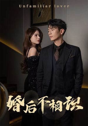 婚后不相识（100集）高清无码免费看