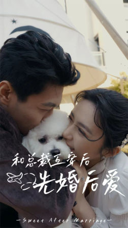 和总裁互穿后先婚后爱（60集）红果短剧看全集