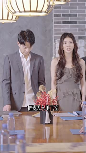 弃少归来谍中谍（100集）零花钱看整部剧