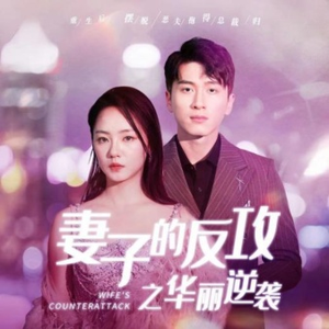 妻子的反攻之华丽逆袭（30集）短剧上热门