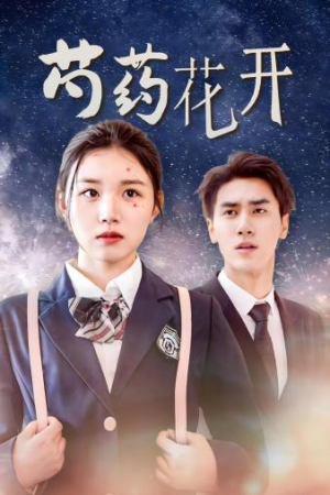 芍药花开（77集）小短剧抢先看