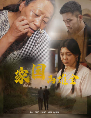 家国两难全（62集）古代短剧推荐