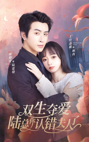 双生夺爱陆总你认错夫人了（94集）常回家看看短剧