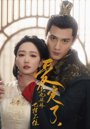 爱定了，皇妃娘娘也挡不住（72集）热门短剧看不停