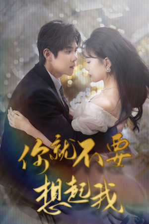 你就不要想起我（81集）经典老剧免费看