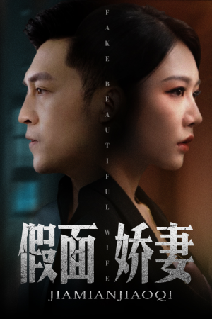 娇妻的谎言（72集）免费短剧资源