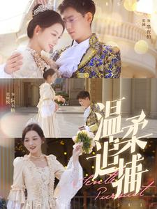 温柔追捕（89集）免费观看全集