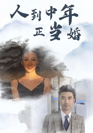 人到中年正当婚（81集）好看的短剧分享