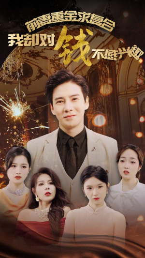 前妻重金求复合我却对钱不感兴趣（100集）360网盘观看