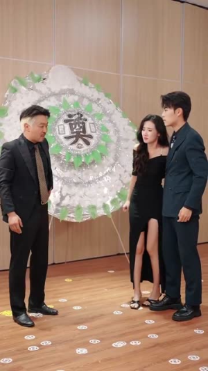 让你别惹她了（99集）短剧演员排行榜