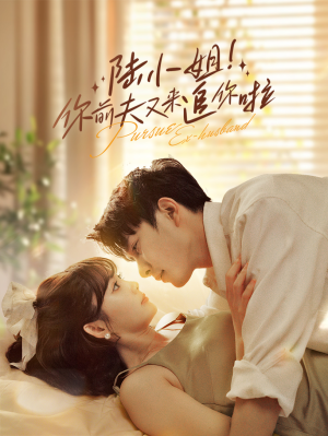 陆小姐！你前夫又来追你啦（67集）高清无码免费看