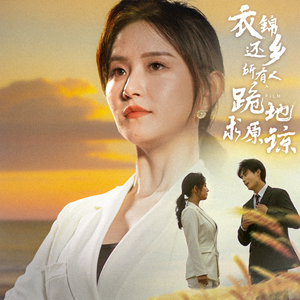 衣锦还乡，所有人跪地求原谅（40集）第32集