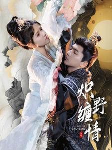 炽野缠情（95集）海量短剧免费看