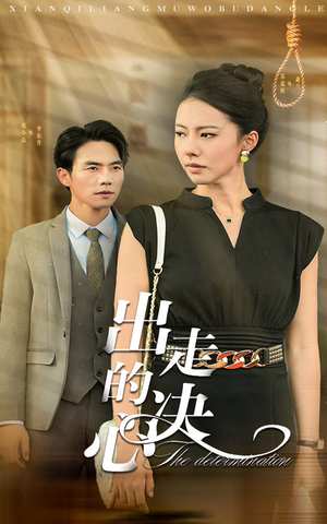 出走的决心（29集）完整版免费观看