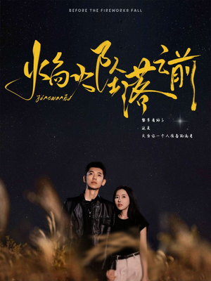 焰火坠落之前（99集）超甜短剧抢先看