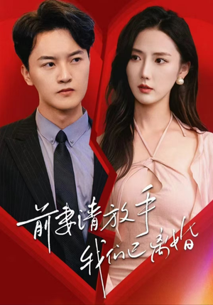 前妻请放手，我们已离婚（86集）推荐热门短剧