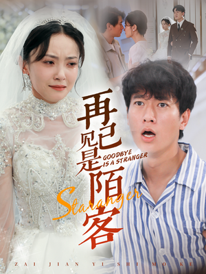 再见已是陌客（55集）海量资源免费看