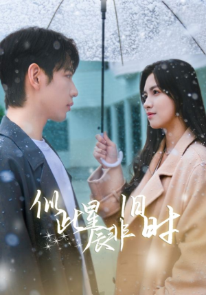 似此星辰非旧时（59集）一起追短剧