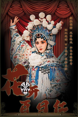 花开百日红（30集）短剧太好看