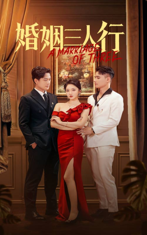 婚姻三人行（31集）短剧介绍