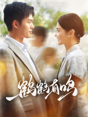 鹤鹤有鸣（87集）热门短剧在线看