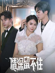 情深留不住（80集）免费看全网短剧