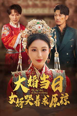 大婚当日，女婿哭着求原谅（31集）热播短剧追不停