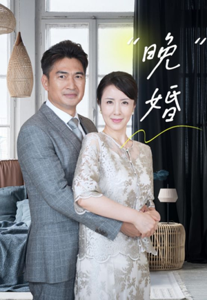 晚婚（65集）精彩短剧分享