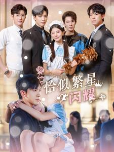 恰似繁星闪耀（74集）短剧精彩不断