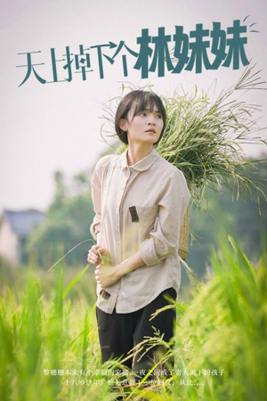 天上掉下个林妹妹（81集）越看越好看短剧