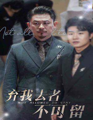 生命它璀璨如歌（60集）好看上头短剧