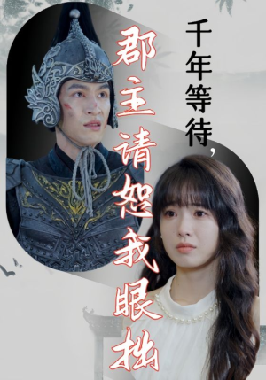 千年等待郡主请恕我眼拙（50集）短剧介绍