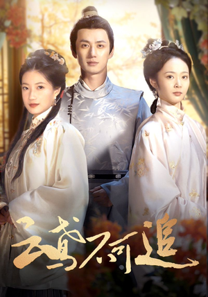 云鸢不可追（42集）剧情简介