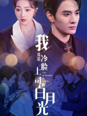 我竟是冷脸上司的白月光（80集）让你一口气看完