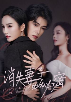 消失妻子的秘密（60）古装短剧推荐