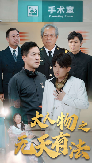 .新大人物之无天有法（35集）全集在线看