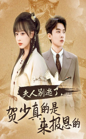 夫人别逃了贺少真的是来报恩的（63集）最后一集